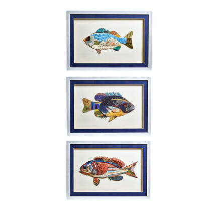 Fish Collage Framed Wall Art