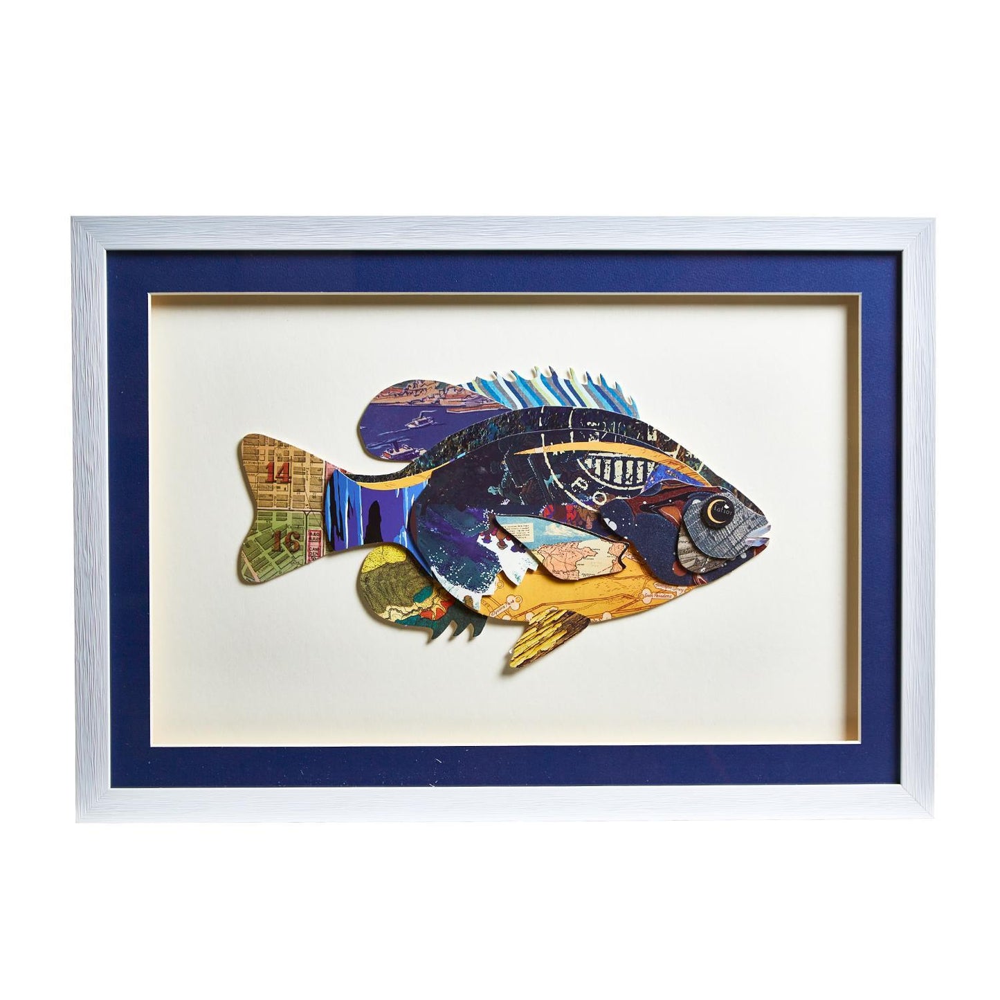 Fish Collage Framed Wall Art
