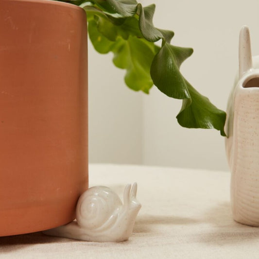 Slowpoke Pot Feet