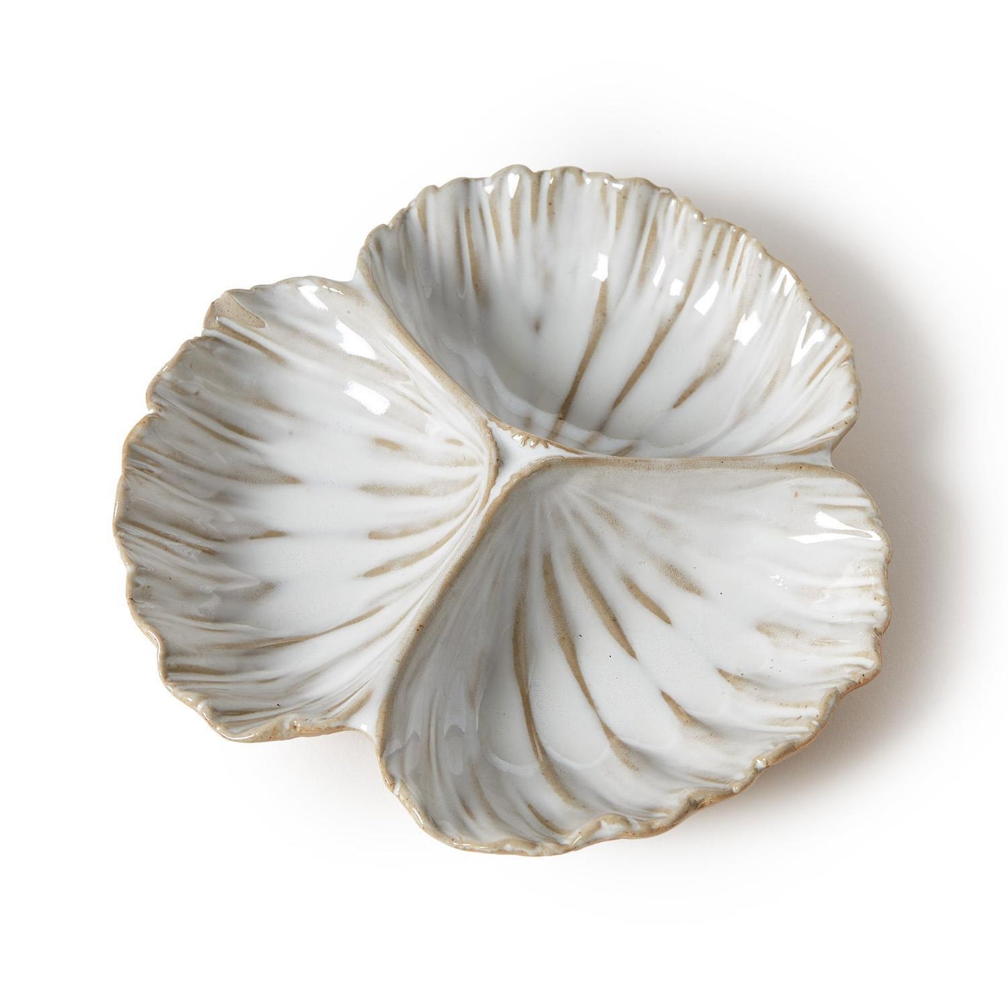 Sectioned Clam Shell Dish