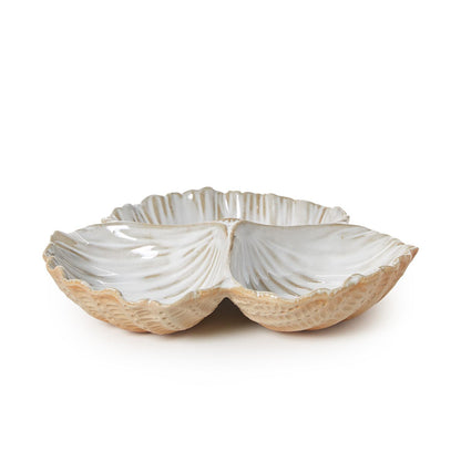 Sectioned Clam Shell Dish