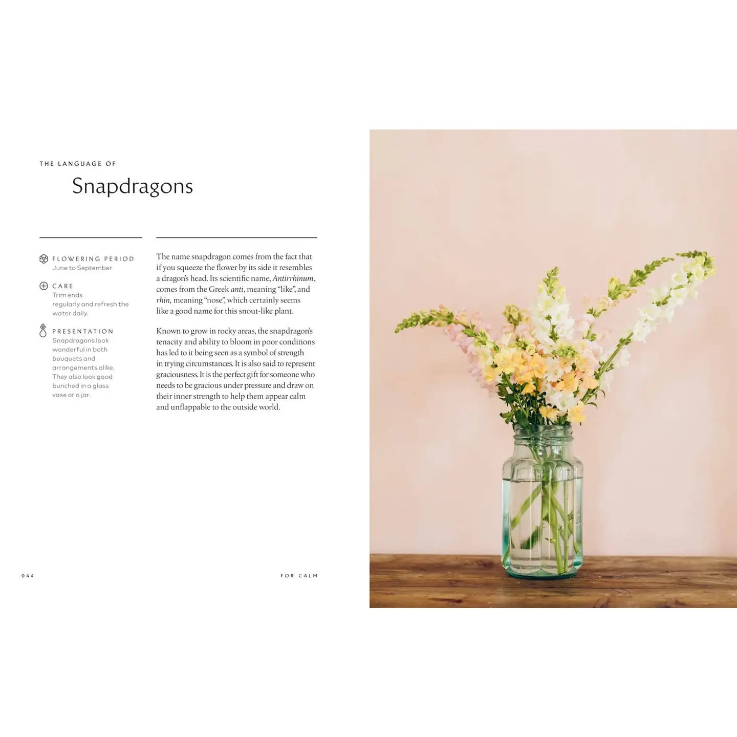 Healing Powers of Flowers