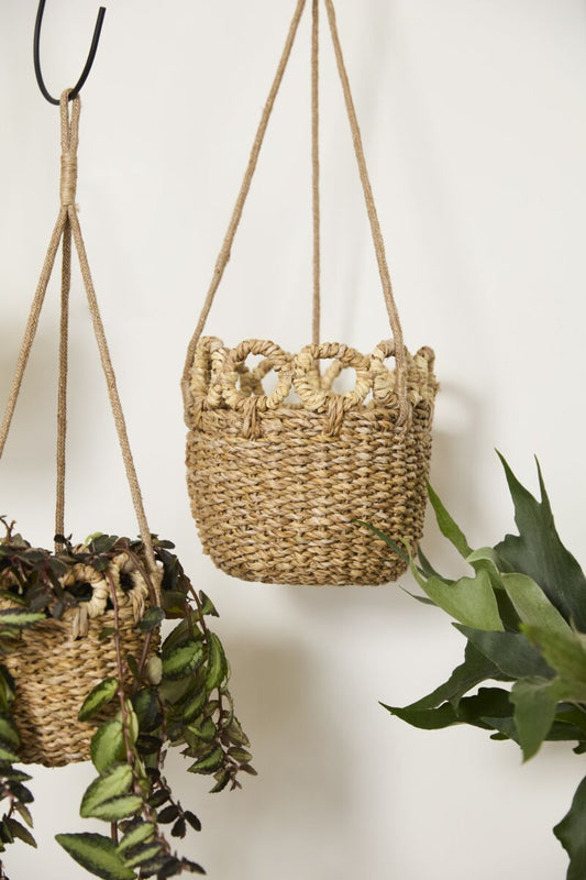 Verse Hanging Basket