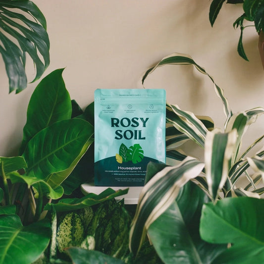 Organic Houseplant Soil Mix