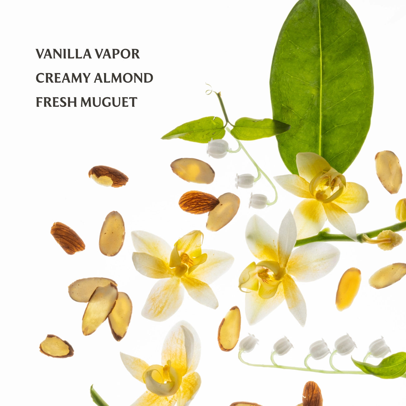 Touchland Power Essence Body & Hair Mist - Vanilla Velvet