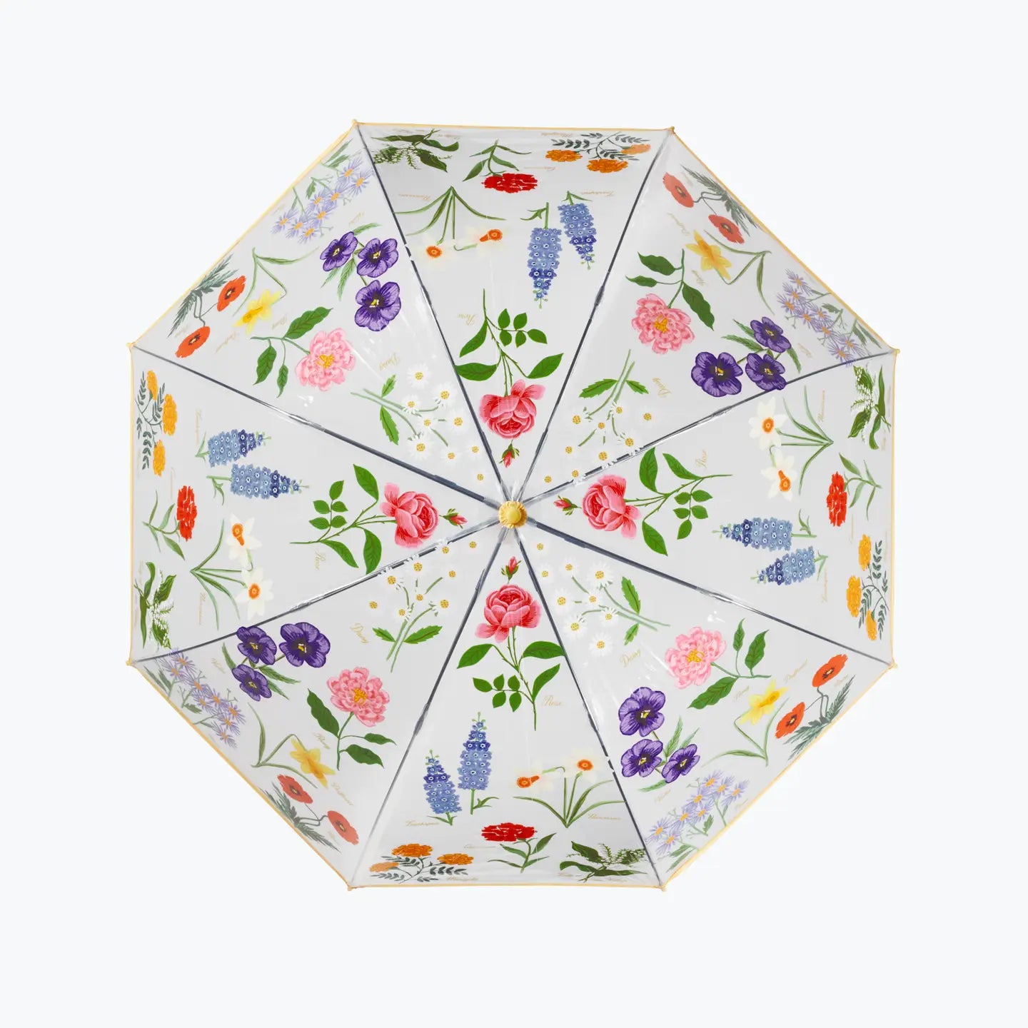 Garden Study Clear Umbrella