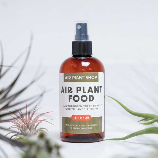 Ready-To-Use Tillandsia Air Plant Fertilizer