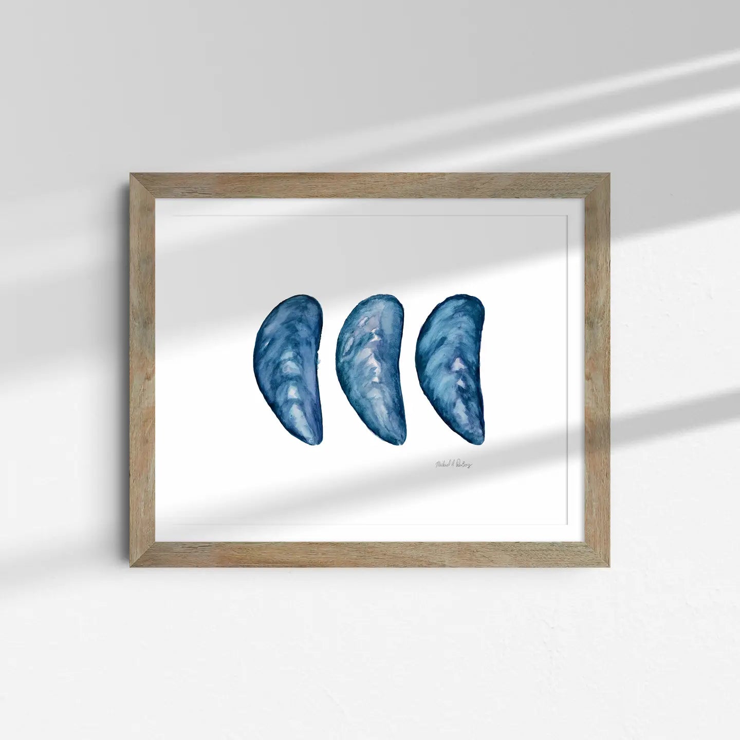 Mussel Shell Trio Print