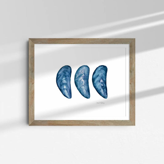 Mussel Shell Trio Print