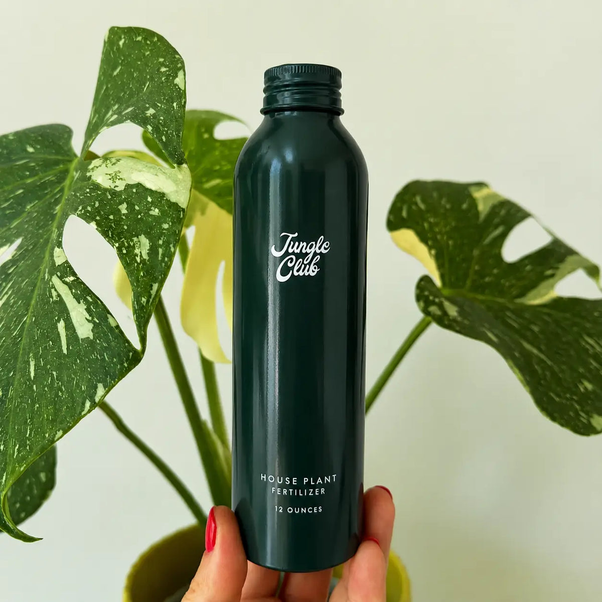 House Plant Fertilizer