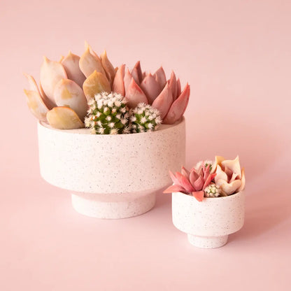 Speckle Footed Pot