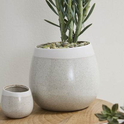 Choice Pot