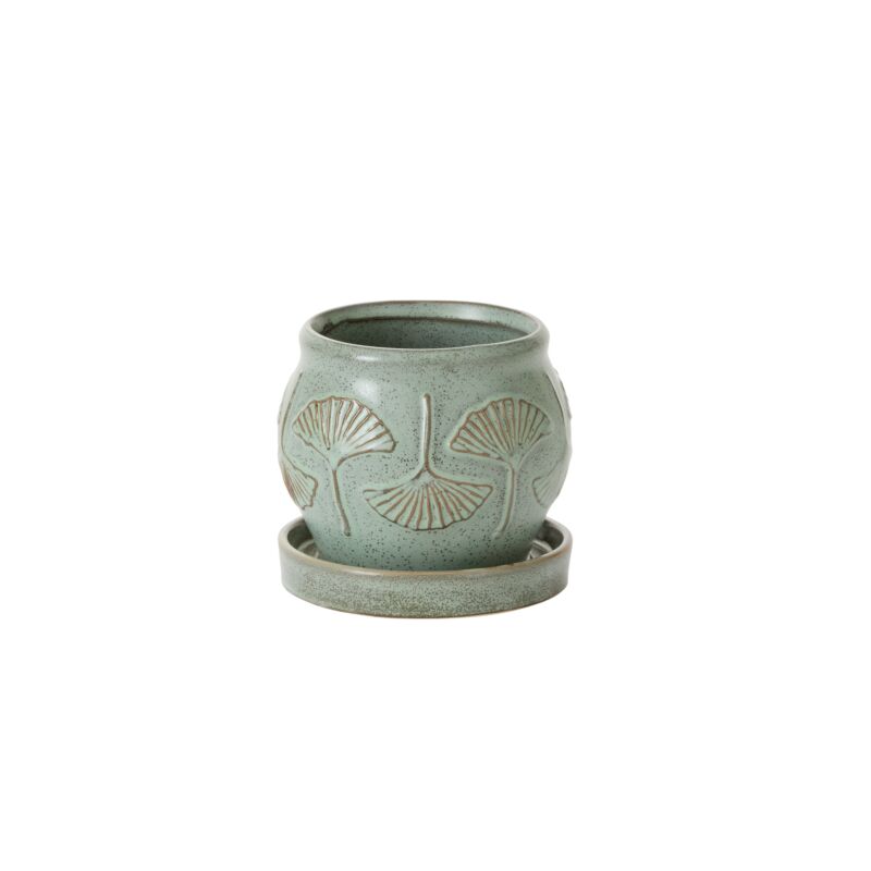 Biloba Pot with Saucer
