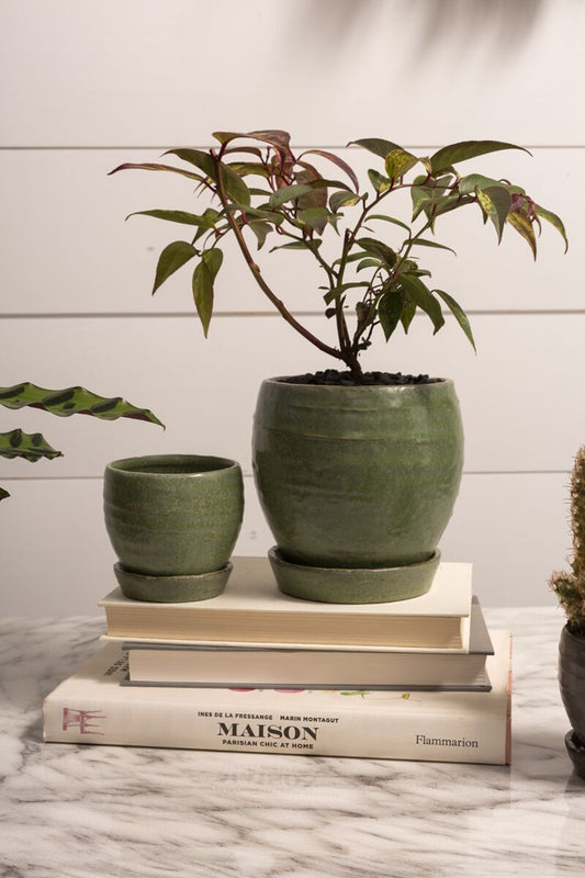 Bradford Pot