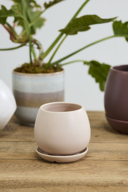 Dalton Pot w/ Saucer