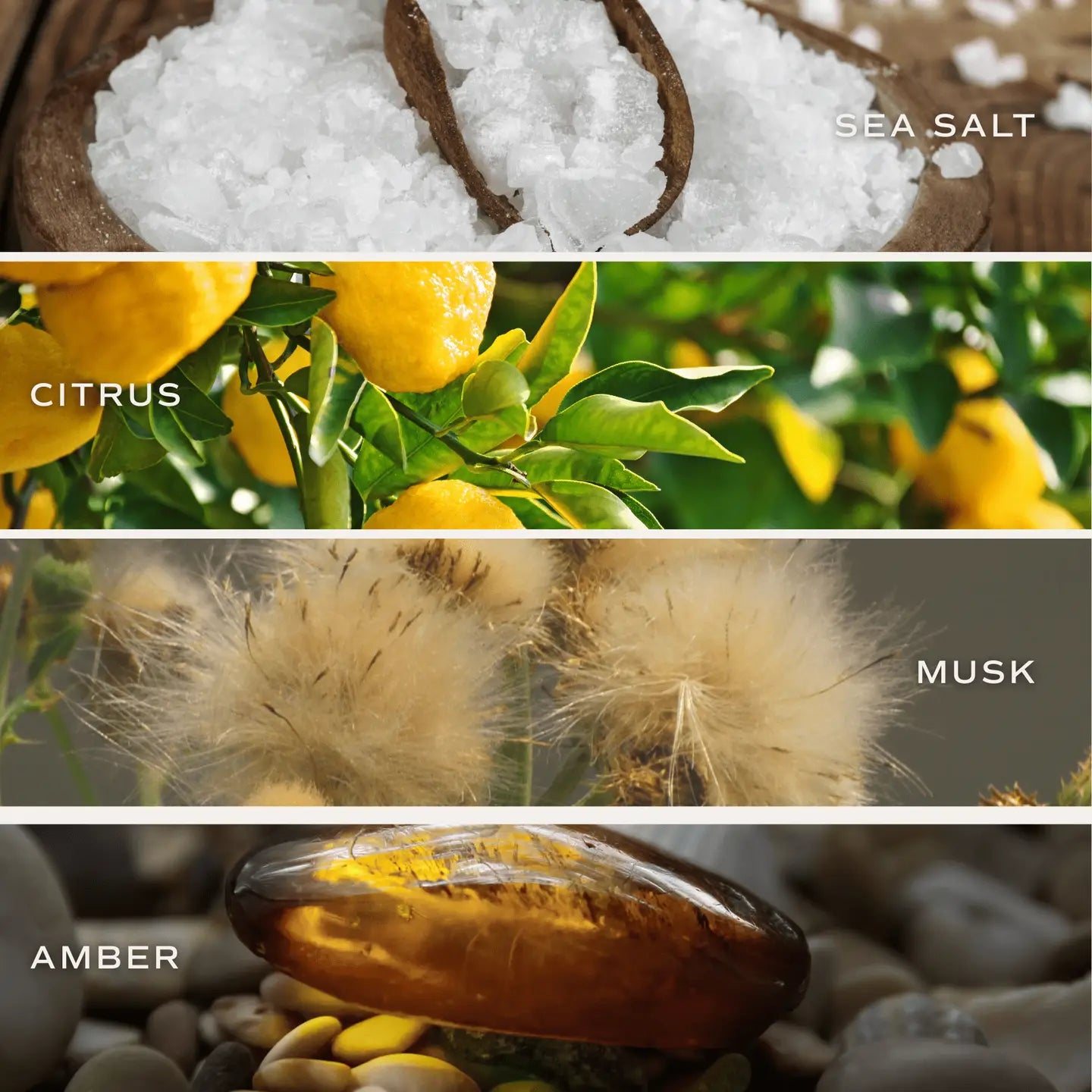 Something Blue Soy Candle