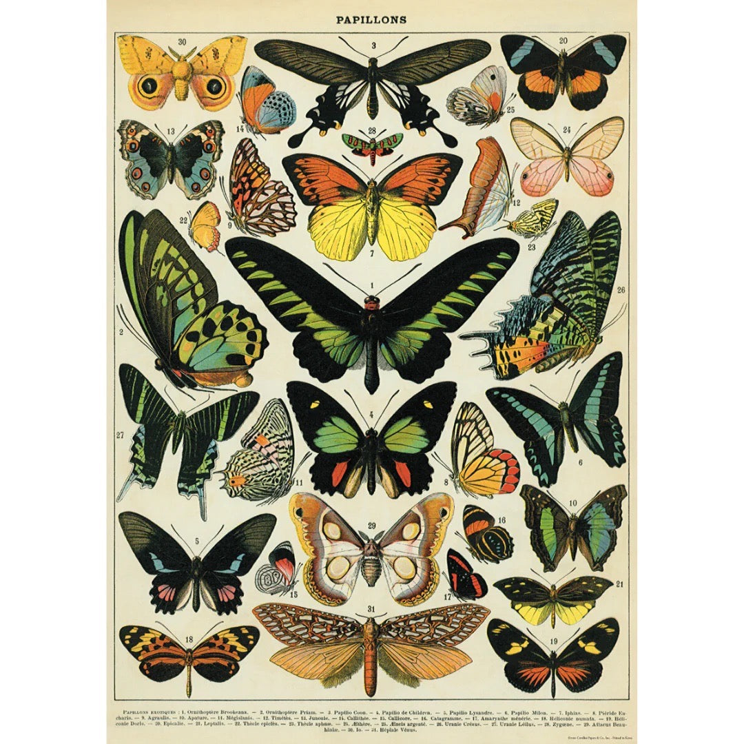 Cavallini Co Vintage Wrap Sheets
