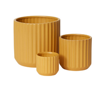 Load image into Gallery viewer, Beam Pot is yellow with a vertical ribbed exterior
