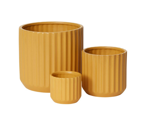 Beam Pot is yellow with a vertical ribbed exterior