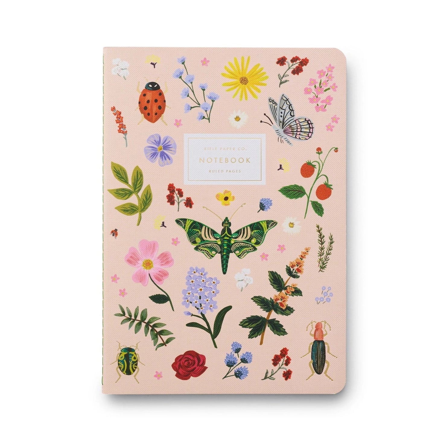 Curio Set of 3 Notebooks