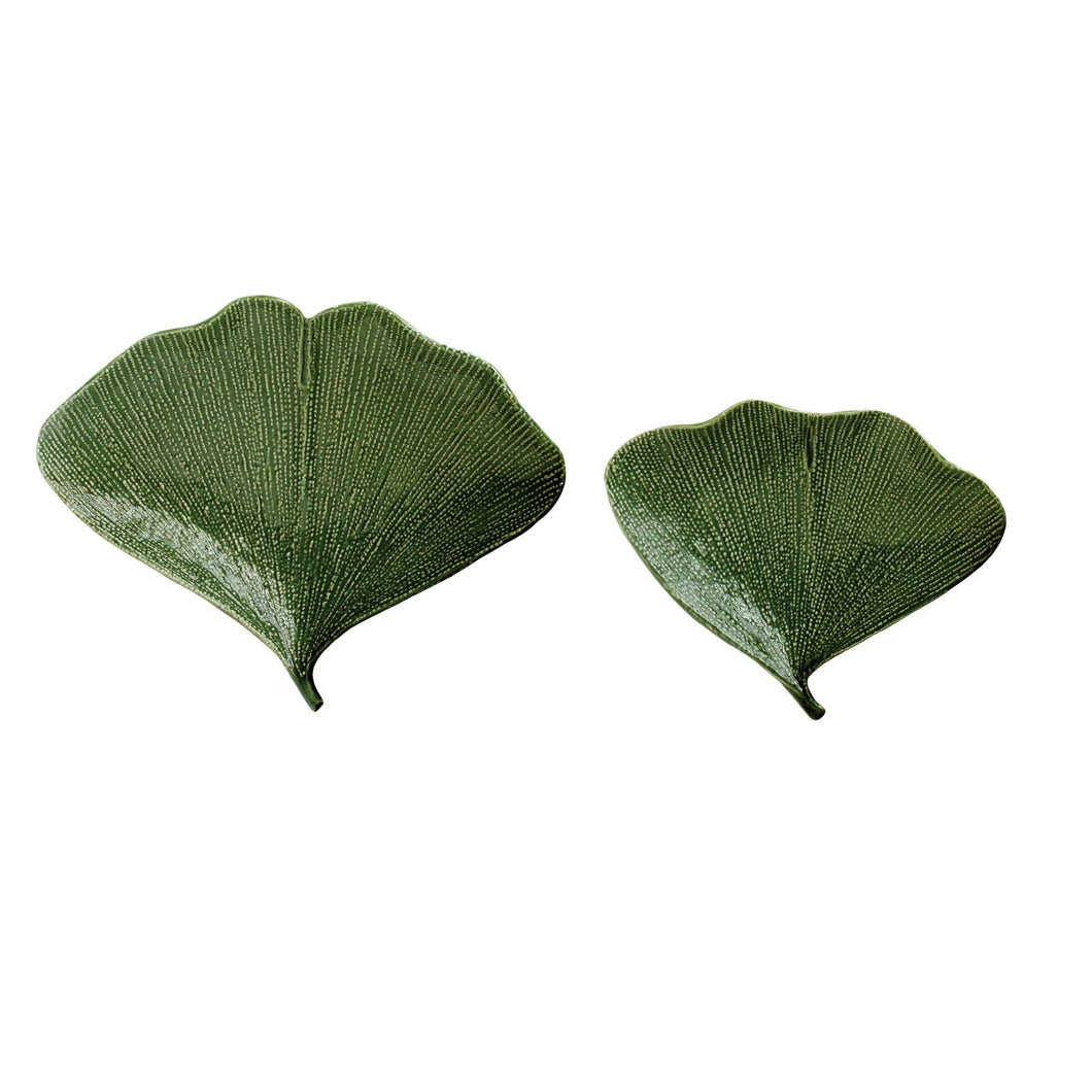 2  sized ginko leaves