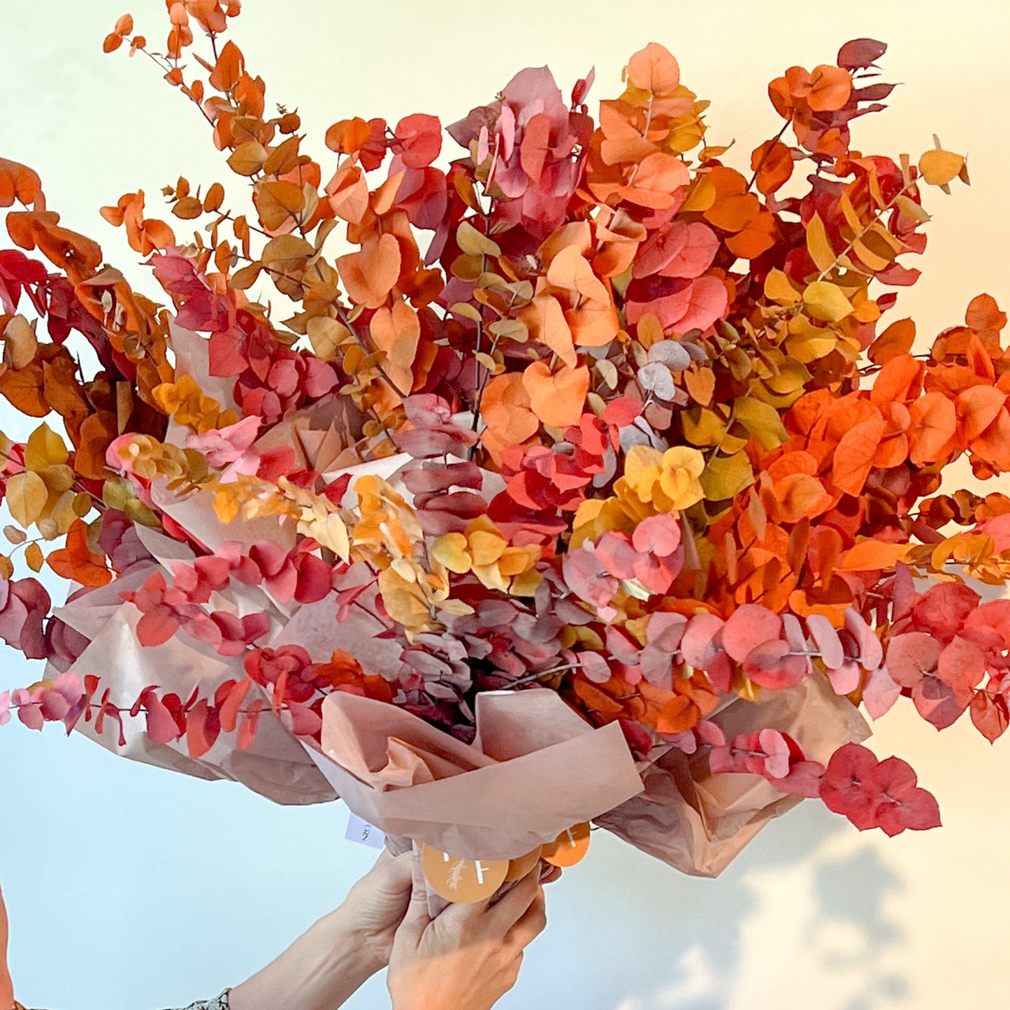 Mini Preserved Rainbow Eucalyptus Bunches
