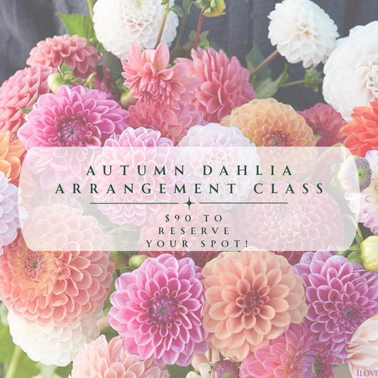Autumn Dahlia Arrangement Class