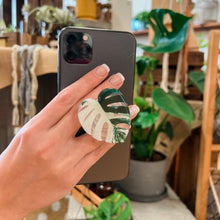 Load image into Gallery viewer, Rare Houseplant Phone Grips
