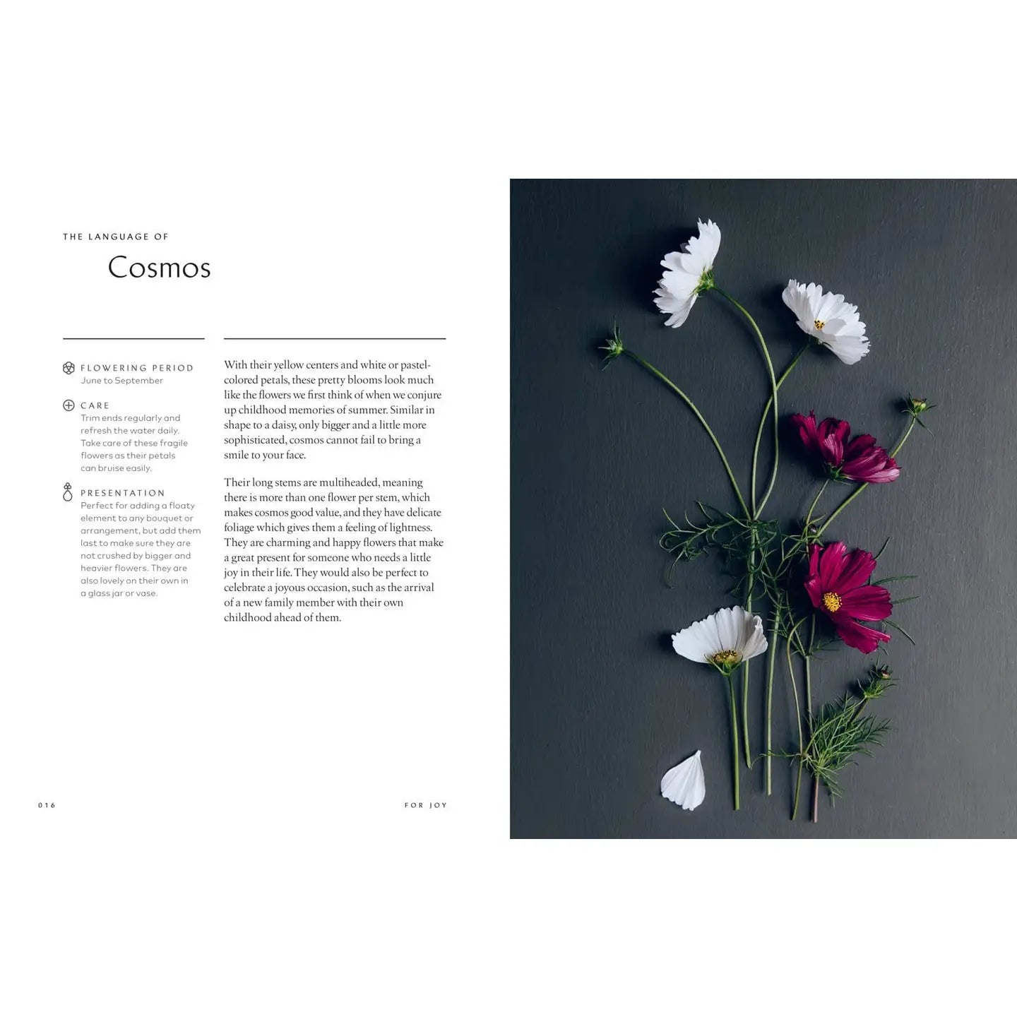 Healing Powers of Flowers