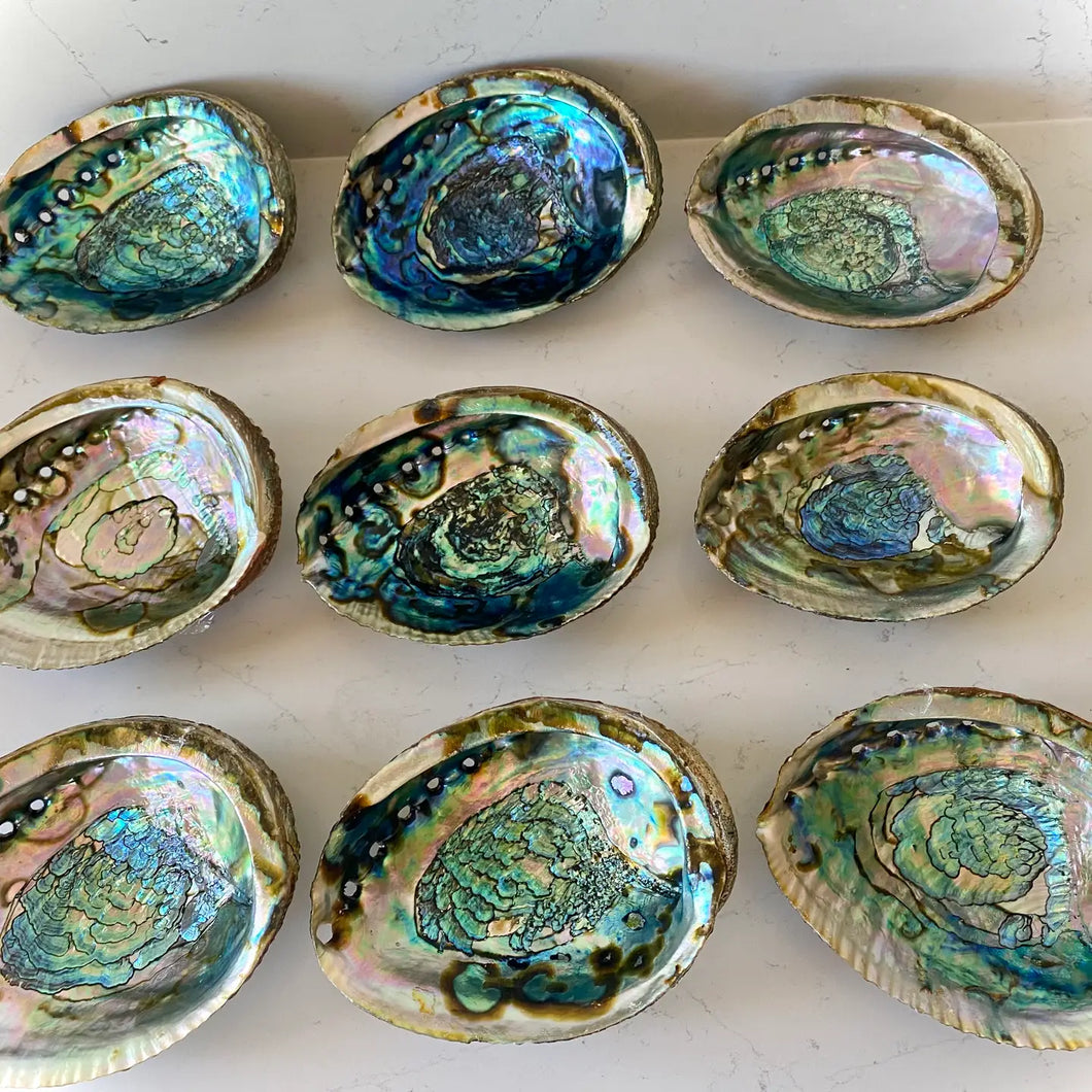 Shell Smudge Bowls