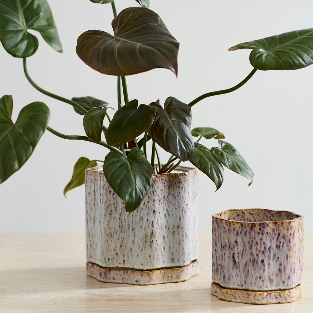 Avenell Pot