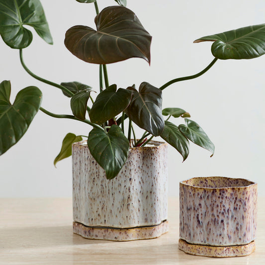Avenell Pot
