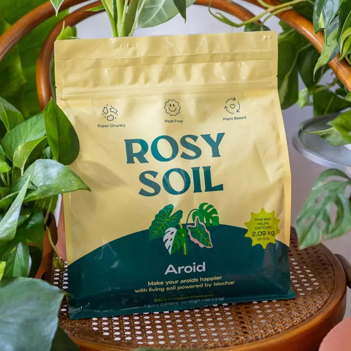 Organic Aroid Soil Mix