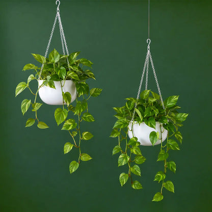 Cleo Hanging Planter