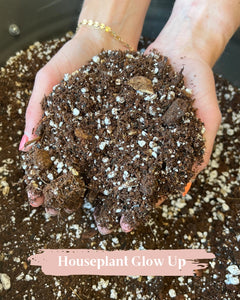 Premium Houseplant Potting Soil