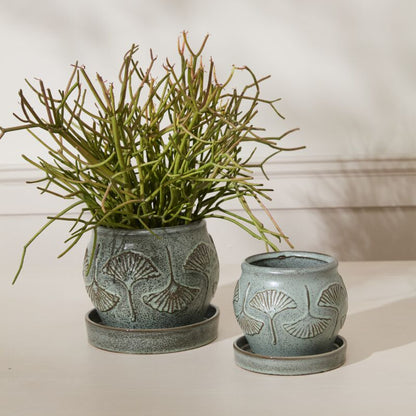 Biloba Pot with Saucer