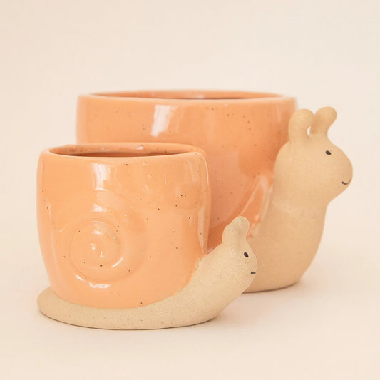 Sunset Snail Planter
