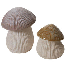 Load image into Gallery viewer, Capped Mushroom Canister
