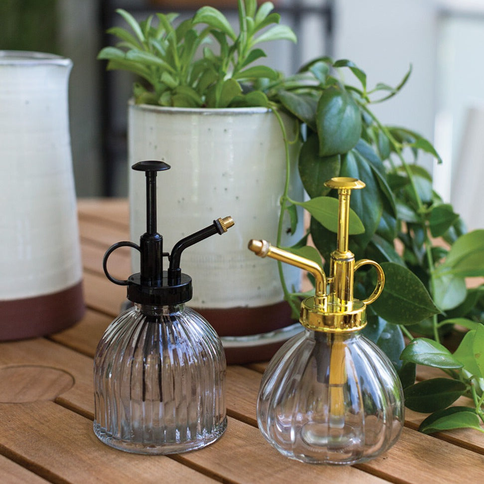Carlisle Glass Plant Misters in Gold or Black