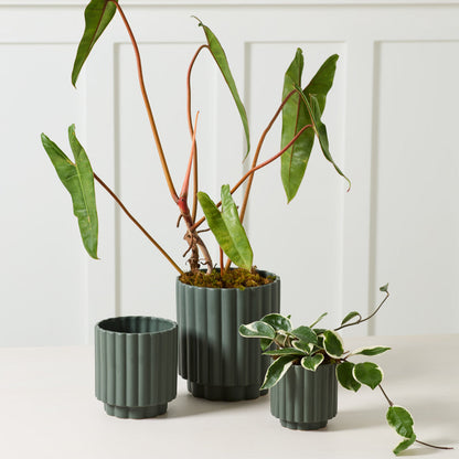 Carmen Pot