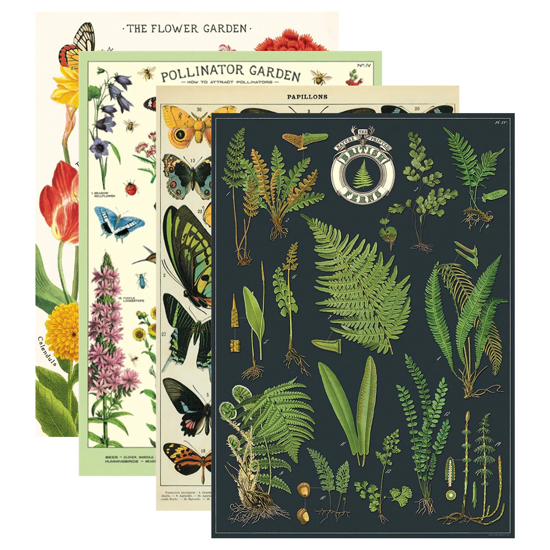 Cavallini Co Vintage Wrap Sheets