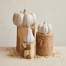 Load image into Gallery viewer, Pumpkin &amp; Spice Stoneware Pumpkins
