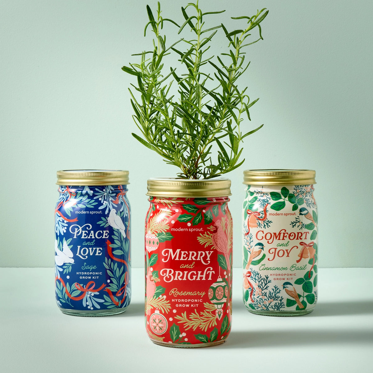 Holiday Herb Garden Jar