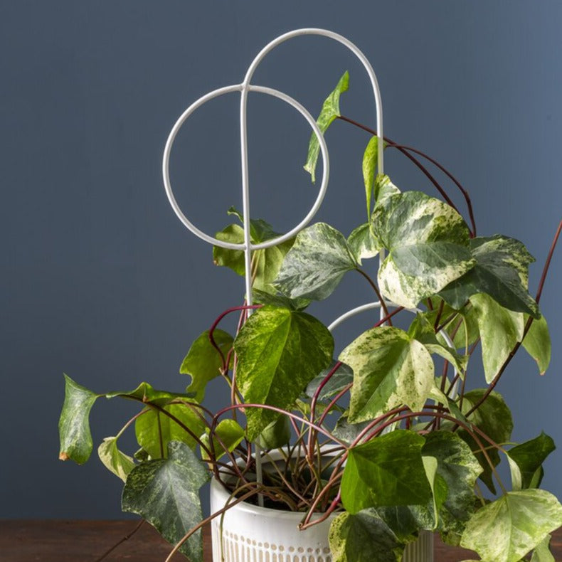 Concentric Plant Trellis