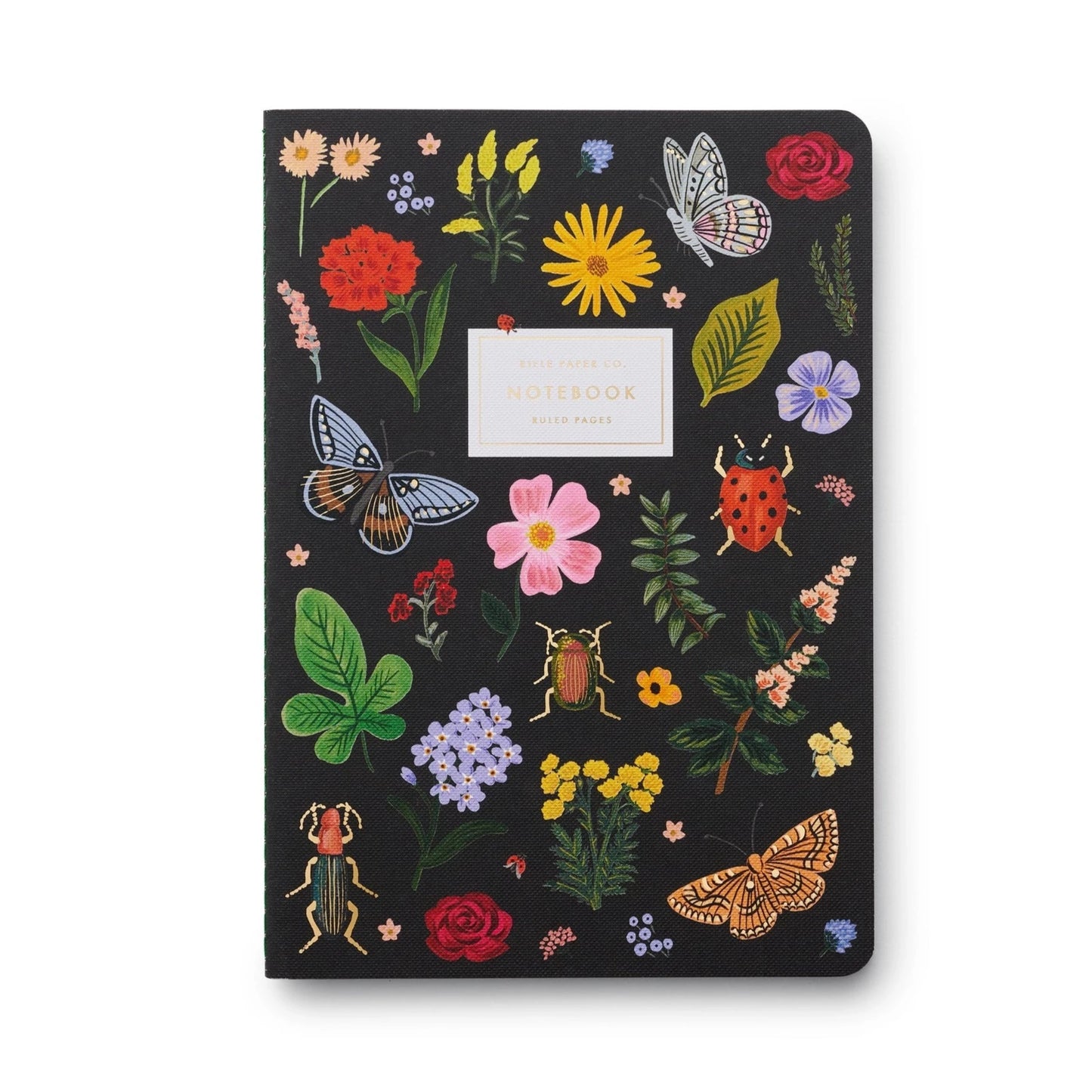 Curio Set of 3 Notebooks