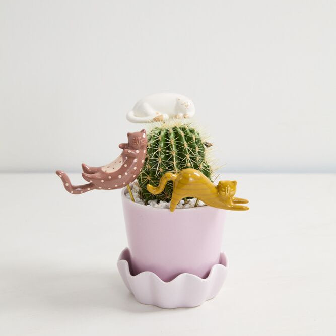 Curious Cats Plant Stick