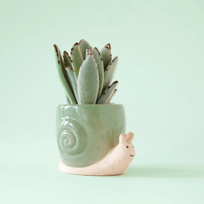 Lagoon Snail Planter