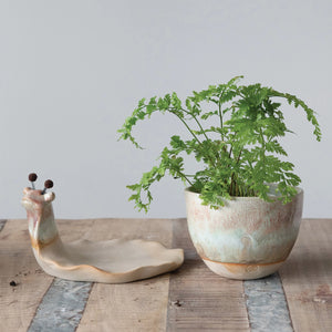 Garden Snail Planter & Saucer