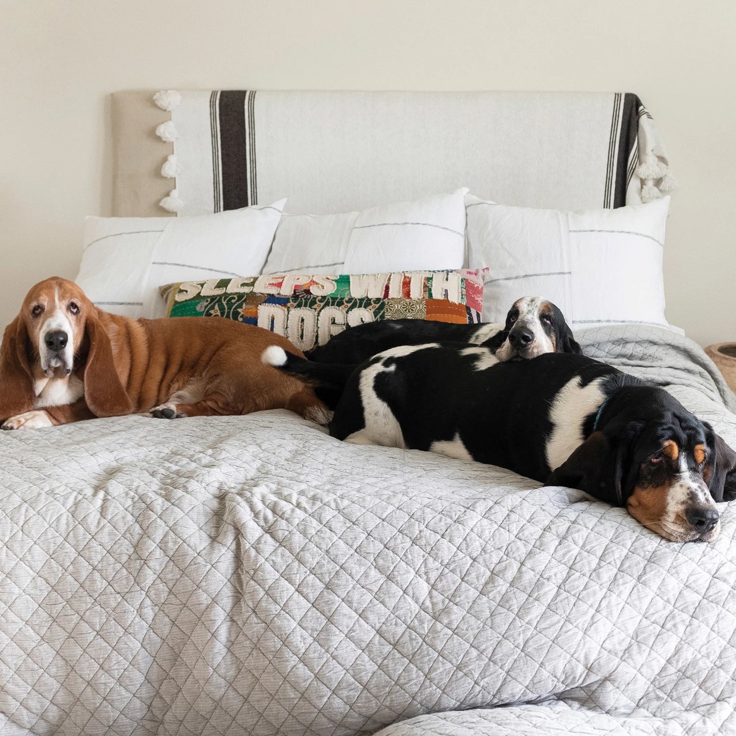 Sleeps with Dogs Patchwork Lumbar Pillow