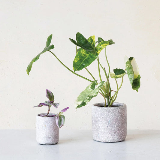 Urban Pink Terracotta Pot